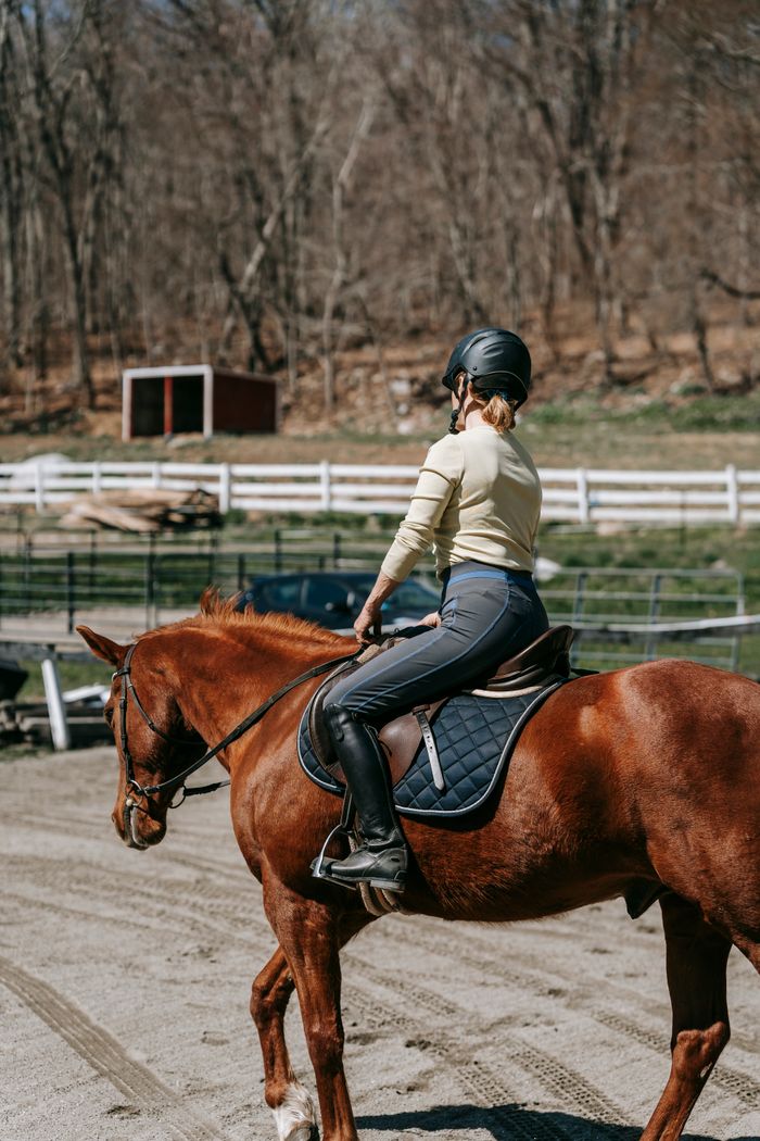 services-03 A young woman riding a chestnut horse in an outdoor paddock during a sunny day.